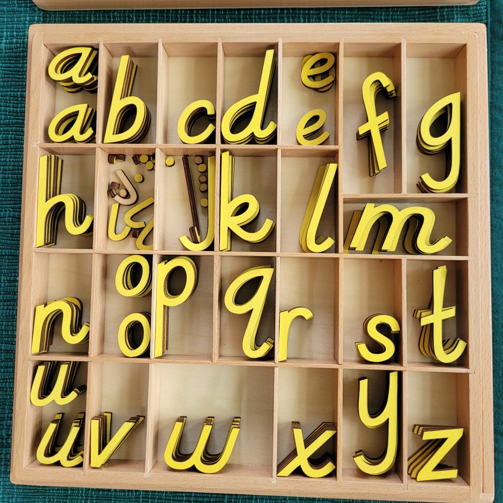 The Green Series Green Background Movable Alphabet Montessori Set 